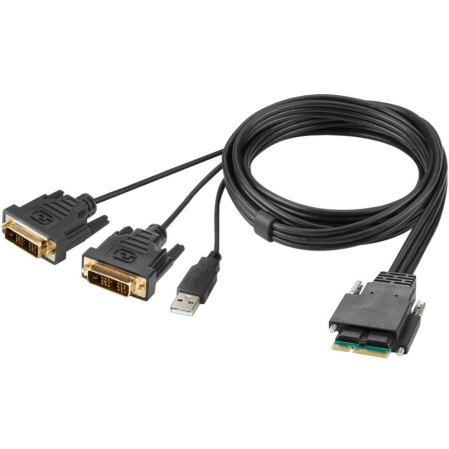 Belkin Modular DVI Dual-Head Host Cable 6 ft. – High-Resolution KVM Connection with Gold-Plated Connectors