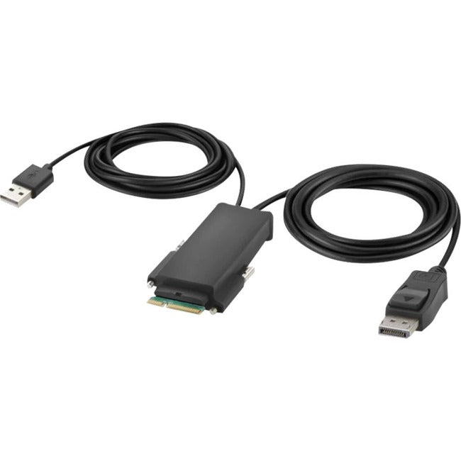 Belkin Modular DisplayPort Single-Head Host Cable, 6 ft. – Supports 4K@30Hz with Gold-Plated Connectors and TAA Compliance