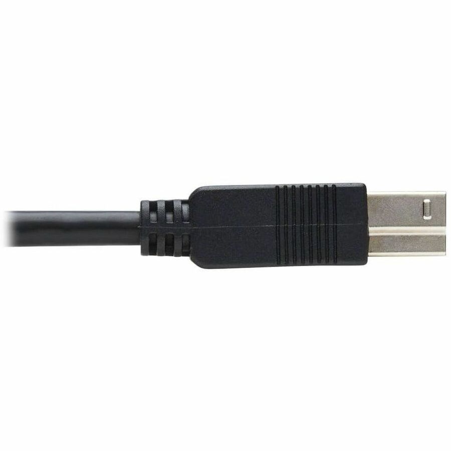 Eaton Tripp Lite Series USB 3.2 Gen 1 Fiber Optic Cable (U328F-30M) - 30 ft, Black, M/M Connectors