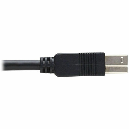 Eaton Tripp Lite Series USB 3.2 Gen 1 Fiber Optic Cable (U328F-30M) - 30 ft, Black, M/M Connectors