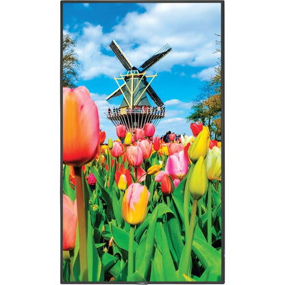 NEC Display M551-MPI4E 55-Inch 4K UHD IPS Digital Signage Display with MediaPlayer Integration
