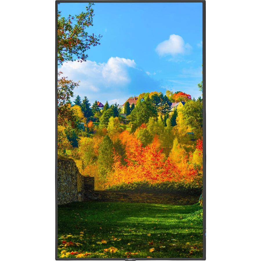 NEC Display M551-MPI4E 55-Inch 4K UHD IPS Digital Signage Display with MediaPlayer Integration