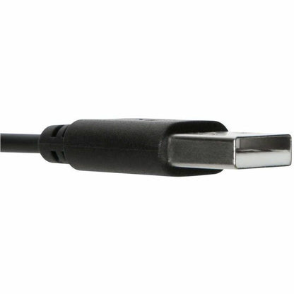 Targus AEH102TT Wired Stereo Headset with Noise-Canceling Microphone and In-Line Volume Control