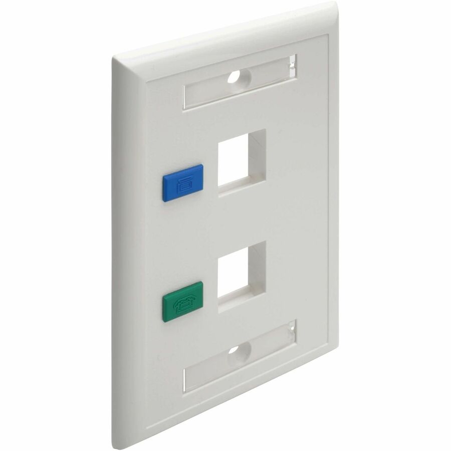 Eaton Tripp Lite Series 2-Port Keystone Faceplate, Single Gang, White