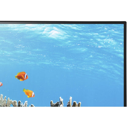 Sharp EA242WU-BK 24-inch WUXGA IPS Monitor with HDMI, DisplayPort, USB-C, and Ergonomic Adjustments