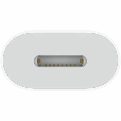 Apple USB-C to Lightning Adapter