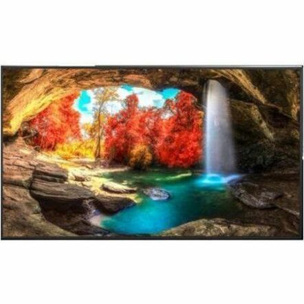 Sharp PNME552 55-Inch Ultra HD Commercial Display with Android 13 and HDR10