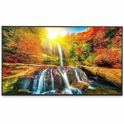 Sharp PNME502 50-Inch 4K UHD Commercial Display with Android 13 and LED Backlit Technology