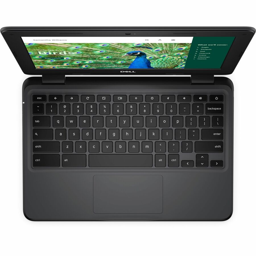 Dell Chromebook 3000 3120 11.6" Clamshell Chromebook - HD - 60 Hz - Intel N100 - 4 GB - 64 GB Flash Memory - English (US) Keyboard - Gray