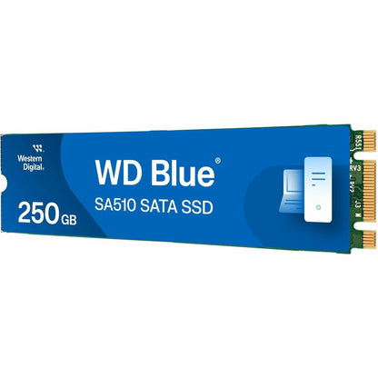 Western Digital Blue SA510 WDS250G3B0B 250GB M.2 SATA SSD for PC Enhancement