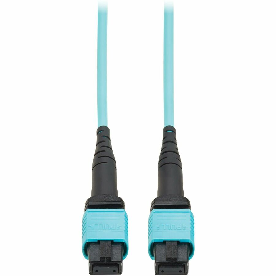 Eaton Tripp Lite Series 100G OM4 Multimode Fiber Optic Cable N845A-01M-12TAA – 3.28 ft, MPO MPO, Aqua Jacket, TAA Compliant