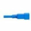 Eaton Tripp Lite Series 20A C20 to C21 Heavy-Duty Power Cord, 5 ft., Blue