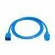 Eaton Tripp Lite Series 20A C20 to C21 Heavy-Duty Power Cord, 5 ft., Blue