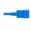 Eaton Tripp Lite Series 20A C20 to C21 Heavy-Duty Power Cord, 5 ft., Blue