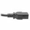 Eaton Tripp Lite Series Power Cord P037-002 – Heavy-Duty C14 to C21 Power Cable for High-Power Network Devices