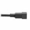 Eaton Tripp Lite Series Power Cord P035-2P5 - Heavy-Duty 20A C20 to C21 Power Cable for Network Equipment