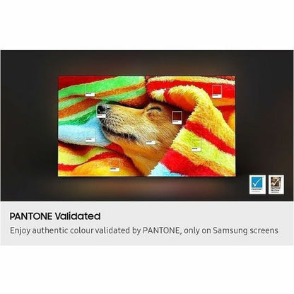 Samsung S85F QN83S85FAE 82.5-Inch 4K UHD Smart OLED TV with AI Processor and Smart Features
