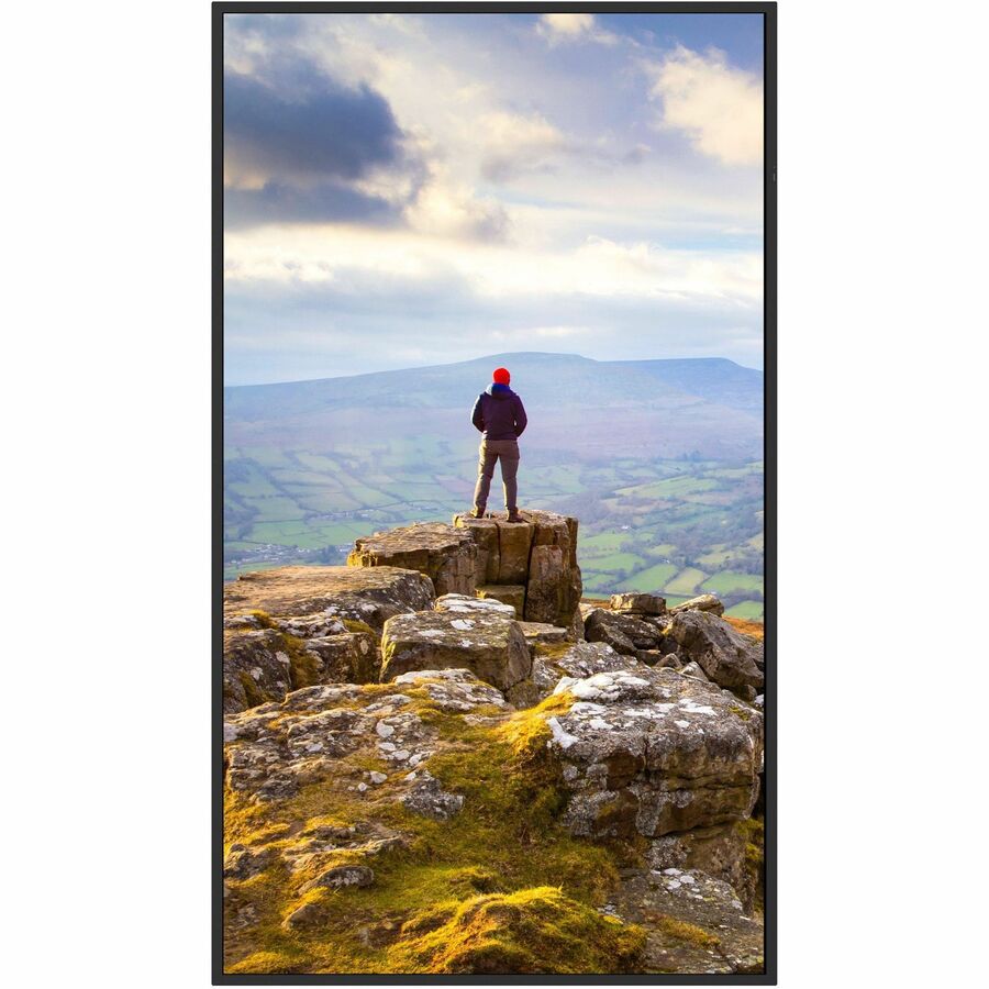 Sharp PN-E869 86-Inch 4K UHD LCD Digital Signage Display with HDMI and USB-C Support