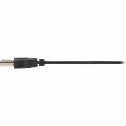 Eaton Tripp Lite Series P580F-000 DisplayPort Fiber Extender Kit with MPO Connectors for 8K Video Transmission