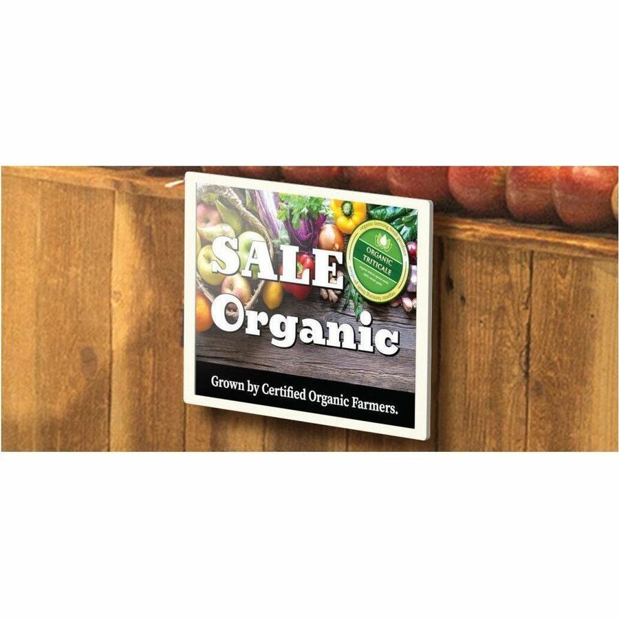 Sharp Electronics EP-CA22 28.6-Inch ePaper Digital Signage Display