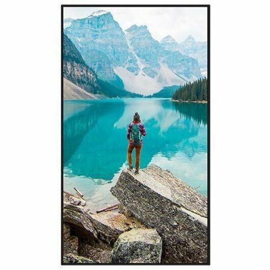 Sharp PN-M862 86-Inch Ultra HD Professional Digital Signage Display with HDR10 and 4K Resolution