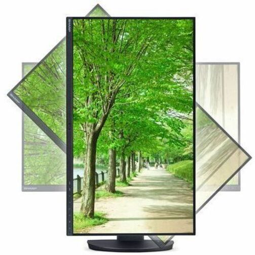 Sharp MultiSync EA242F 24-Inch Full HD IPS LED Monitor with USB-C and Multi-Monitor Support