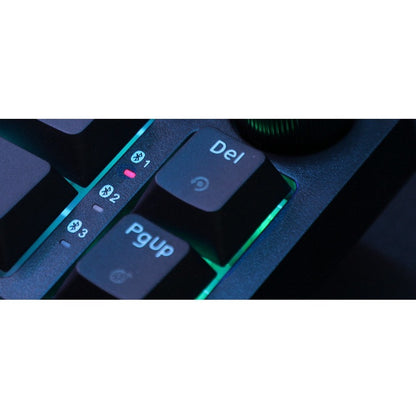 252496289.jpg