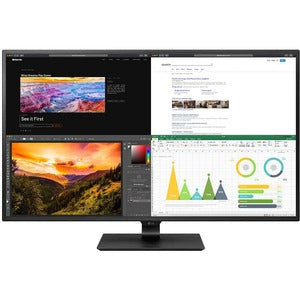 LG 43BN70U-B 42.5" 4K UHD LED LCD Monitor - 16:9 - Matte Black