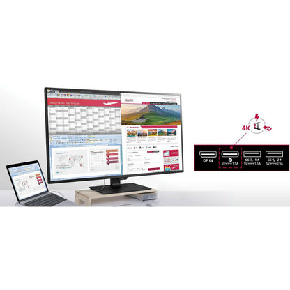 LG 43BN70U-B 42.5" 4K UHD LED LCD Monitor - 16:9 - Matte Black