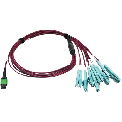 Tripp Lite Multimode Fiber Optic Breakout Cable 16F MTP/MPO-APC to x8 LC F/M 1M