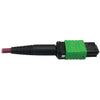 Tripp Lite Multimode Fiber Optic Breakout Cable 16F MTP/MPO-APC to x8 LC F/M 1M
