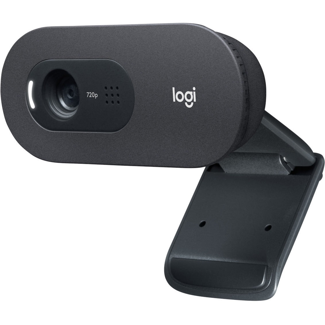 Logitech C505e Webcam - 30 fps - USB