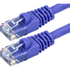 Monoprice Cat6 24AWG UTP Ethernet Network Patch Cable, 100ft Purple