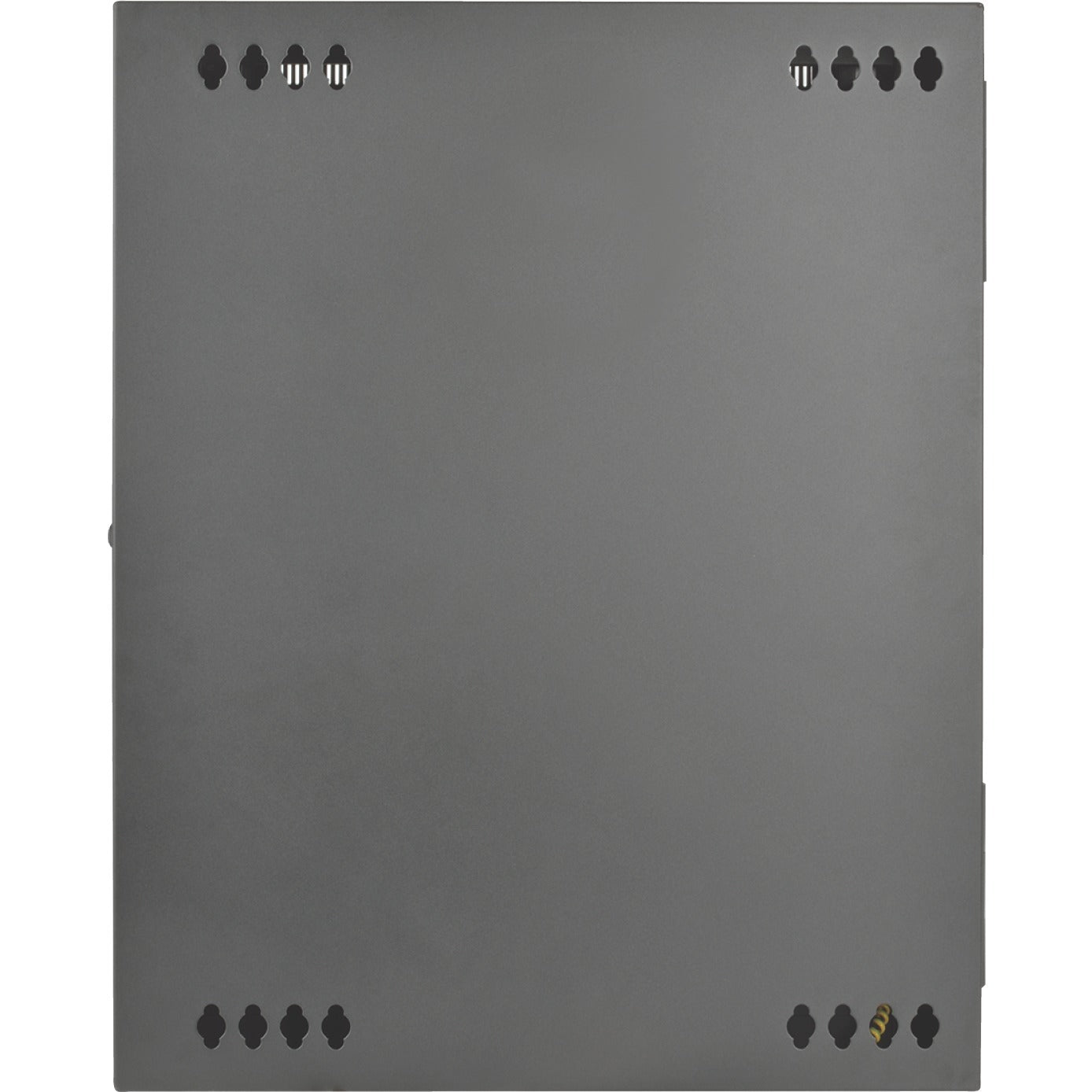 Tripp Lite 15U Wall Mount Rack Enclosure Server Cabinet Hinged Wallmount