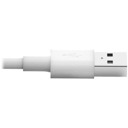 Tripp Lite 6ft Lightning USB/Sync Charge Cable for Apple Iphone / Ipad White 6'