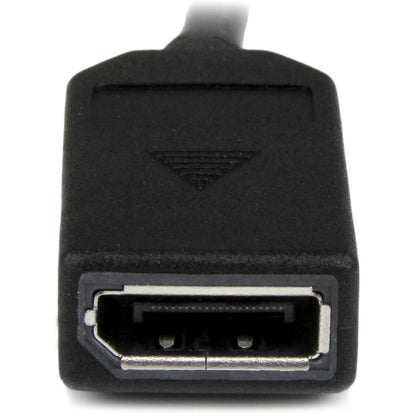 StarTech.com 8in LFH 59 Male to Dual Female DisplayPort DMS 59 Cable