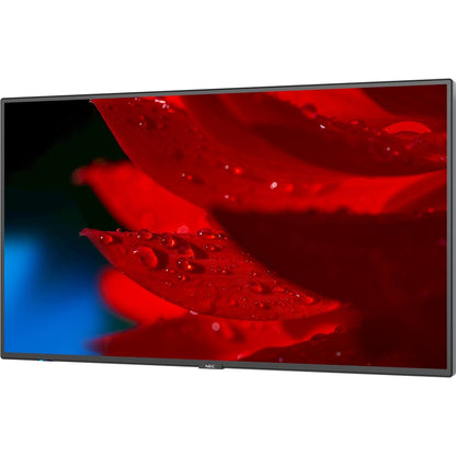 NEC Display 49" Wide Color Gamut Ultra High Definition Professional Display