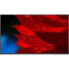 NEC Display 49" Wide Color Gamut Ultra High Definition Professional Display