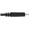 Tripp Lite 6ft DisplayPort to DVI-D / DP to DVI AdapterConverter Single Link Video Cable M/M