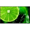 NEC Display 43" 4K UHD Display with Integrated ATSC/NTSC Tuner