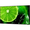 NEC Display 43" 4K UHD Display with Integrated ATSC/NTSC Tuner