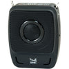 SMK-Link GoSpeak! Duet Wireless Portable PA System with Wireless Microphones (VP3450)