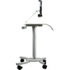 CTA Digital Rolling Workstation Cart