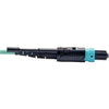 Tripp Lite 1M Fiber Optic Fan-out Cable Push / Pull Tab MTP/MPO to 8 x LC 40Gbase OM3 Plenum Aqua 3ft 3' 1 Meter