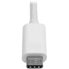 Tripp Lite USB C to DisplayPort Adapter Cable w Equalizer 8K UHD White USB C to DP 6in