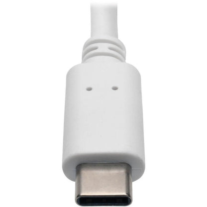 Tripp Lite USB C to DisplayPort Adapter Cable w Equalizer 8K 60W Charging