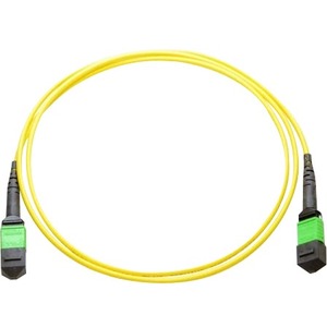 Axiom MPO Male to MPO Male Singlemode 9/125 Fiber Optic Cable - 1m