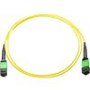 Axiom MPO Male to MPO Male Singlemode 9/125 Fiber Optic Cable - 25m