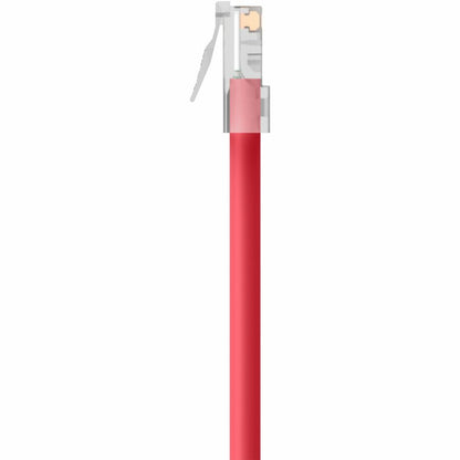 Belkin Cat.6 UTP Patch Cable