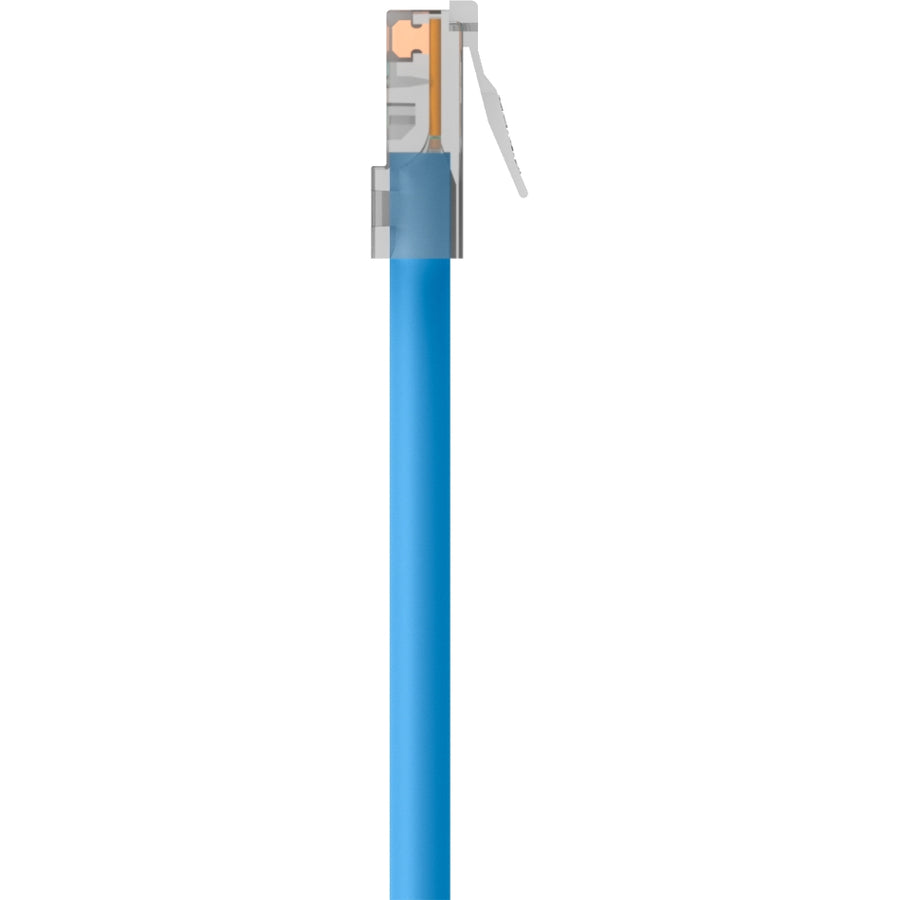Belkin CAT6 Ethernet Patch Cable, RJ45, M/M A3L980-06-BLU